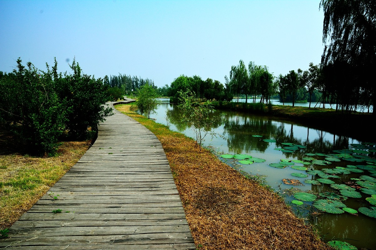 西安浐灞生態(tài)區(qū)：風(fēng)景如畫