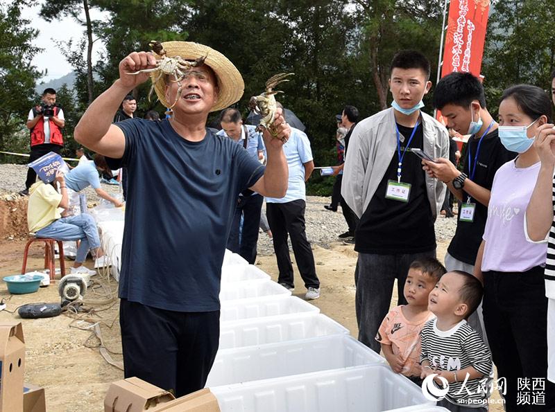 漢陰縣平梁鎮(zhèn)清河村村民胡小平推介大閘蟹。