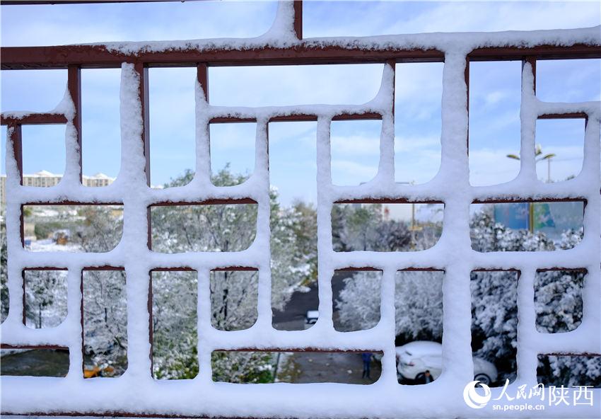 11月6日晚，古城西安迎來2021年第一場雪。吳超攝