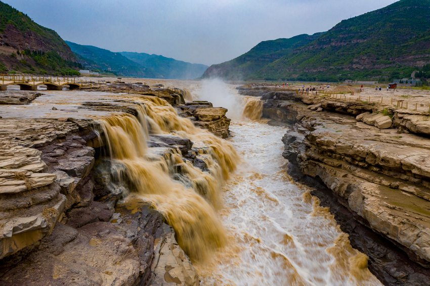 陜西壺口瀑布現(xiàn)“金瀑飛流”奇觀。黃河壺口瀑布旅游區(qū)供圖