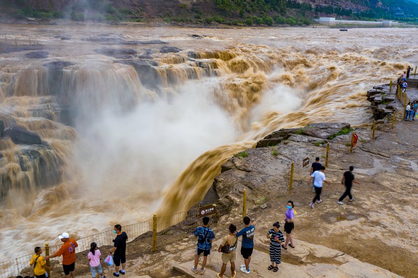 陜西壺口瀑布現(xiàn)“金瀑飛流”奇觀。黃河壺口瀑布旅游區(qū)供圖