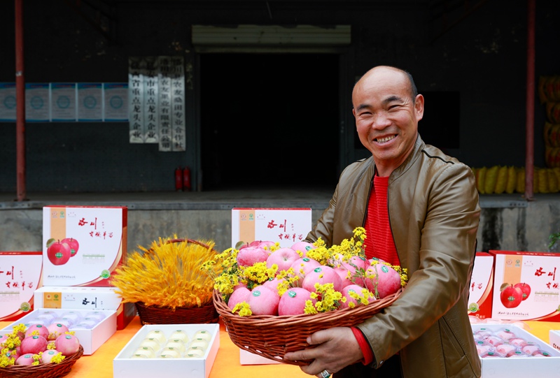 果農(nóng)在展示蘋果。王警攝