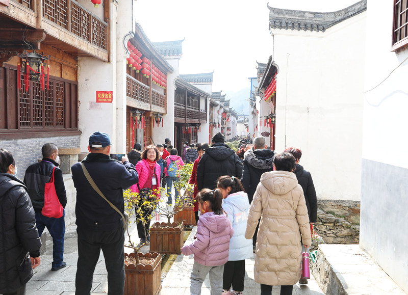 旅客們開啟探尋鎮(zhèn)安的春之旅。敬雨橋攝