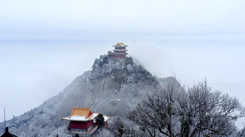 春雪落秦嶺，銀裝素裹美如畫。張玉龍 攝