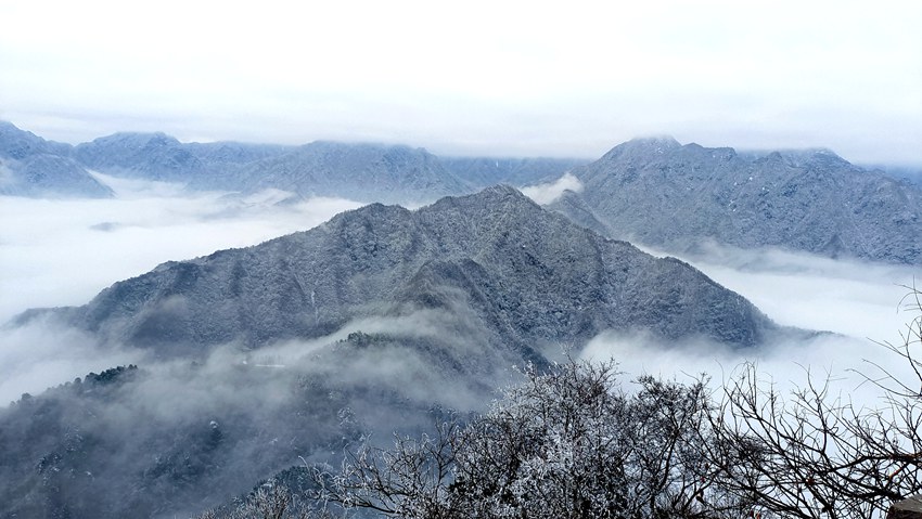 春雪落秦嶺，銀裝素裹美如畫。張玉龍 攝