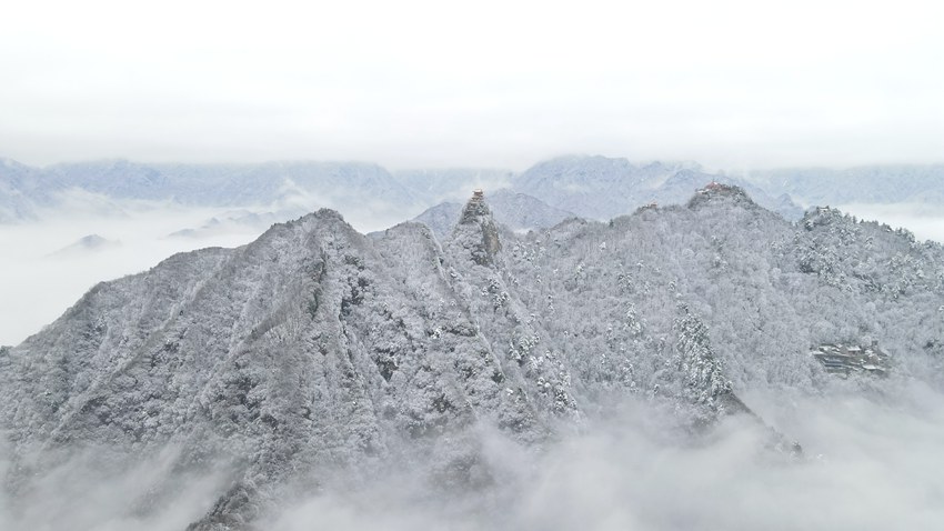 春雪落秦嶺，銀裝素裹美如畫。張玉龍 攝