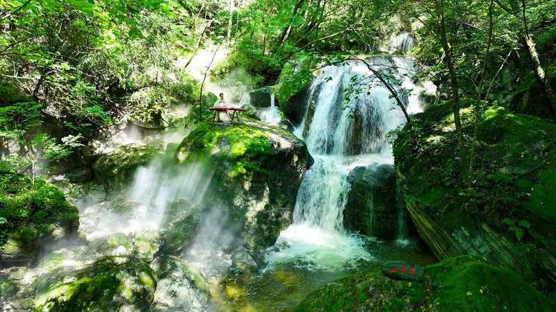 青山綠水牛背梁。牛背梁國家森林公園供圖