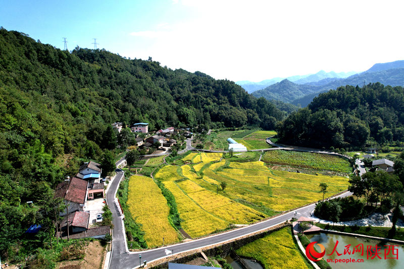 安康市石泉縣城關(guān)鎮(zhèn)絲銀壩村草池灣。人民網(wǎng)黨童 攝