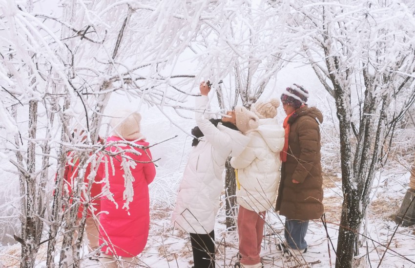 旅客們在秦嶺賞雪，游玩，拍照留念。呂春輝攝