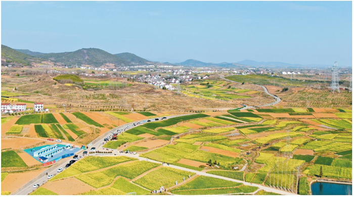 3月15日，2024最美油菜花海漢中旅游文化節(jié)（第15屆）暨全市春季主題招商周活動在漢中市洋縣啟動。圖為洋縣洋州街道龍泉觀花點(diǎn)。