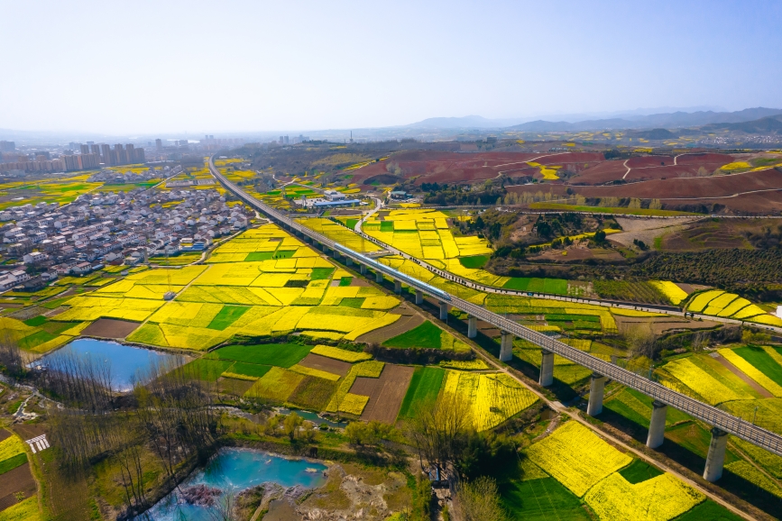 高鐵動(dòng)車組穿越油菜花海。劉一江攝