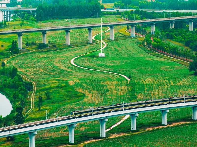 灃河生態(tài)濕地公園。西咸新區(qū)融媒體中心供圖