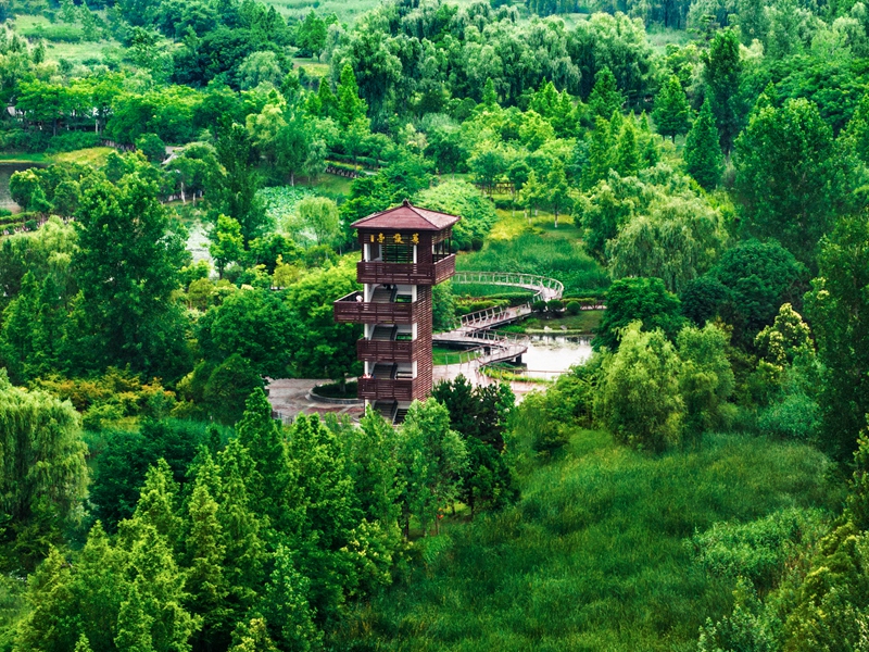 灃河生態(tài)濕地公園。西咸新區(qū)融媒體中心供圖