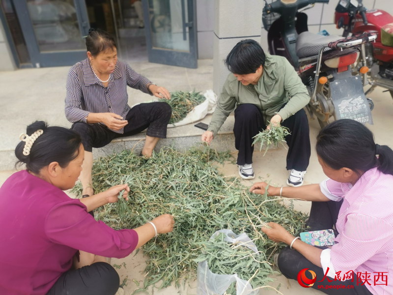 白秀葉（右二）在村委大院和村民們拉家常。人民網(wǎng) 王麗攝