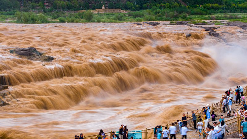 壺口瀑布出現(xiàn)水岸齊平絕色景觀。宋洋波 攝