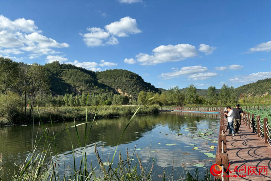 南泥灣國(guó)家濕地公園一隅。 人民網(wǎng) 吳德鋒攝