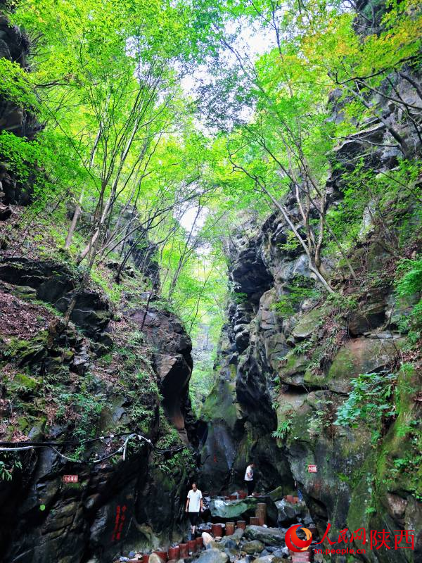 9月9日，采風(fēng)團(tuán)來(lái)到厚畛子生態(tài)實(shí)驗(yàn)林場(chǎng)。人民網(wǎng)記者 孫挺攝