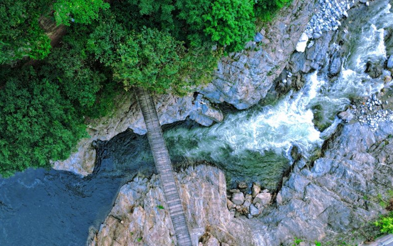 綠水青山踏歌行丨在厚畛子林場看綠色生態(tài)畫卷