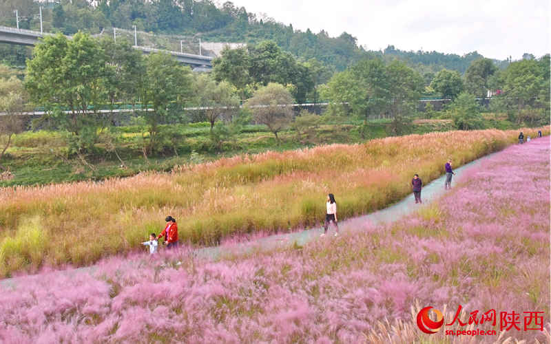 在漢江源頭玉帶河畔濕地公園游玩的游客。人民網(wǎng)記者 白鴿攝