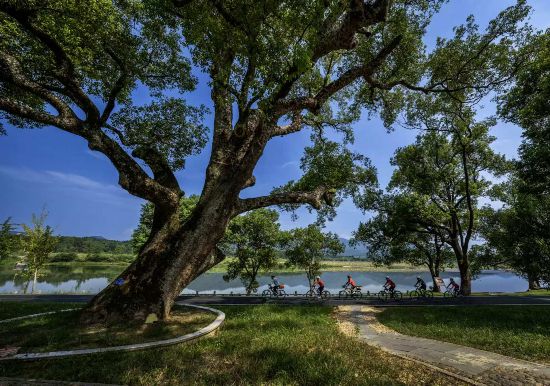 武夷山國家公園1號風(fēng)景道（南平崇陽溪段）。吳大灼 攝